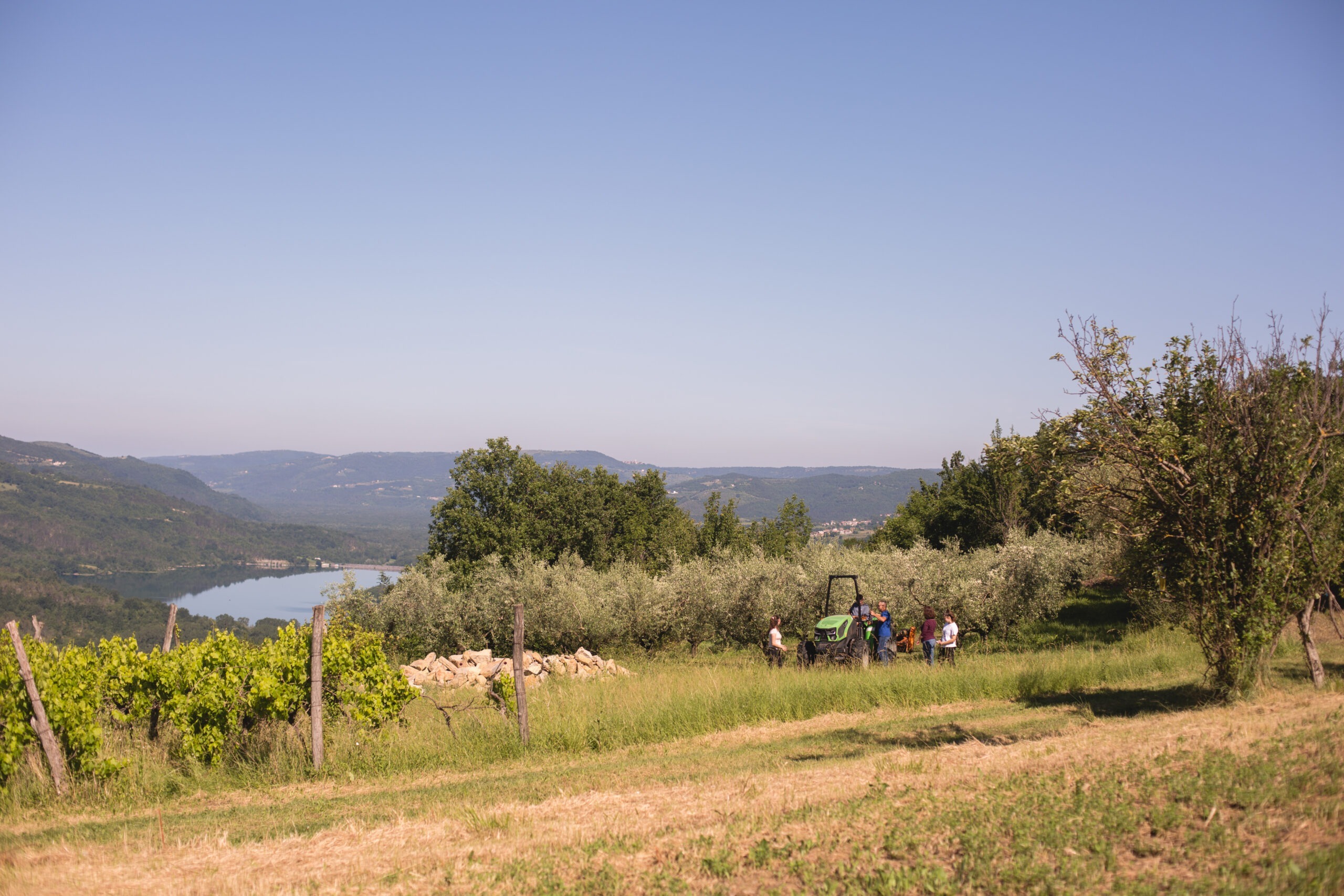 Pogled na jezero Butoniga i obitelj Dušić s traktorom u daljini